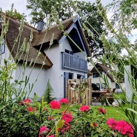 Ferienhaus Silbermöwe-136 qm mit Sauna, Kamin&2 Terrassen-3