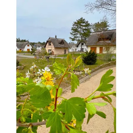 Ferienhaus Silbermöwe-136 qm mit Sauna, Kamin&2 Terrassen-2